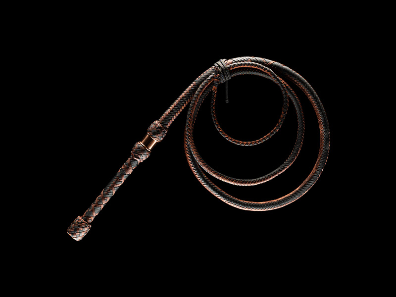 The Blacksmith's Bullwhip