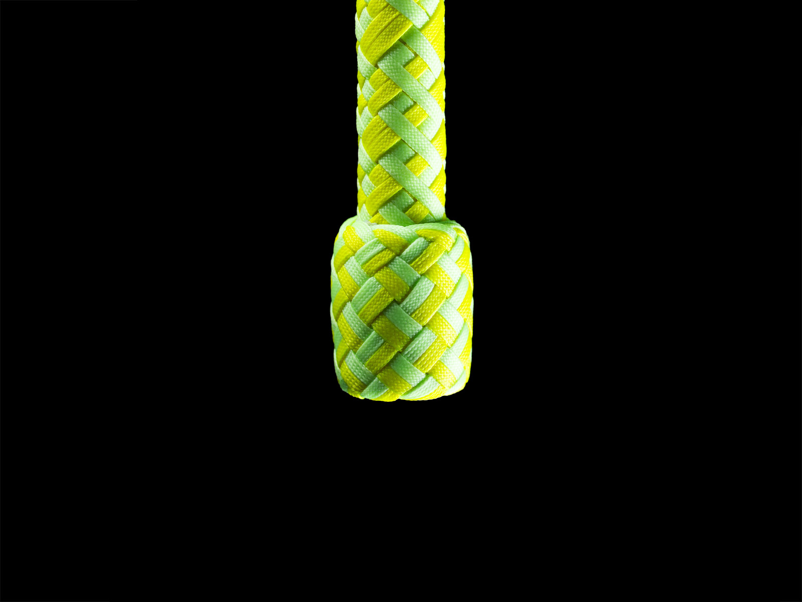 The heel of the Circus Whip