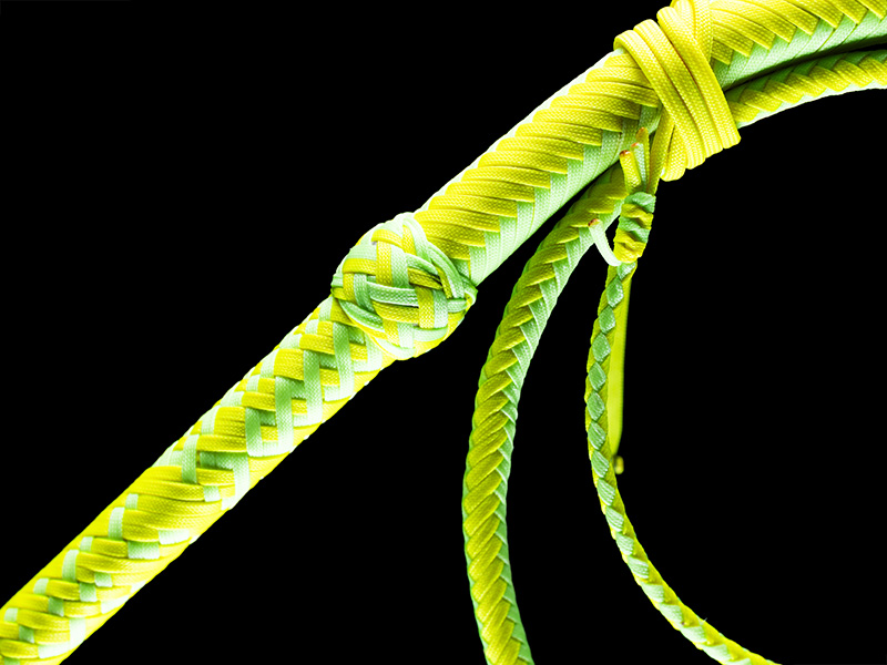 The transition of the Circus Whip