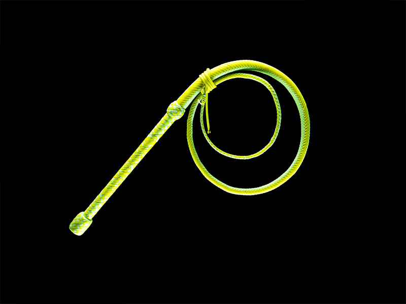 The Circus Whip in normal light — a custom build for whip performer Jacques ze Whipper