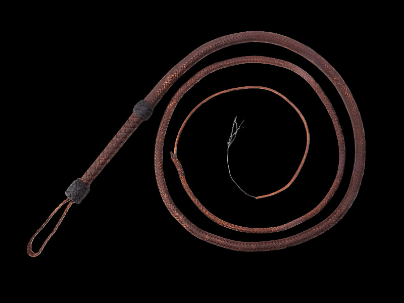 The Indy Bullwhip — Kingdom Finder, 8 Feet