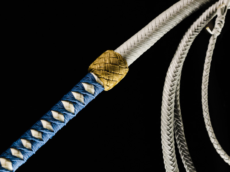 The transition of a 10 foot One Winged Bullwhip