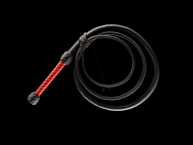 The Indy Bullwhip — Junior, 8 Feet