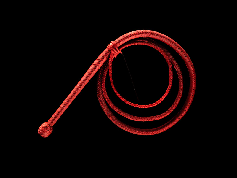 The Catwhip — Red Devil, 8 Feet