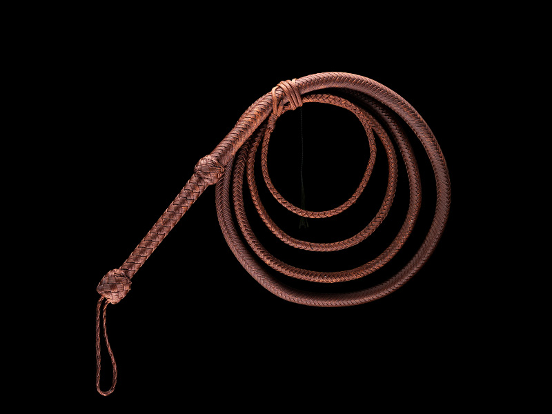 The Indy Bullwhip — Raider, 10 Feet