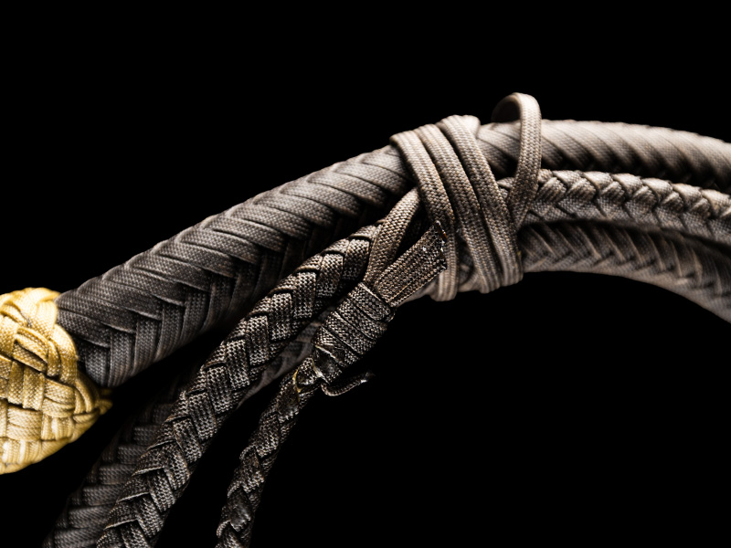 The thong of an 8 foot Belmont Bullwhip