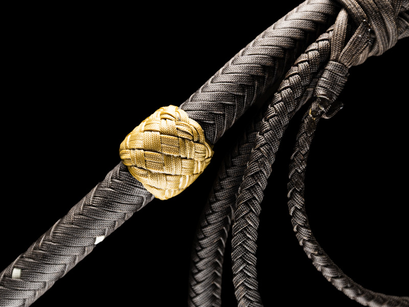 The transition of an 8 foot Belmont Bullwhip