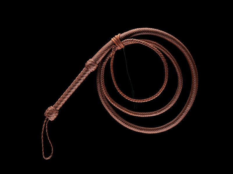 The Indy Bullwhip