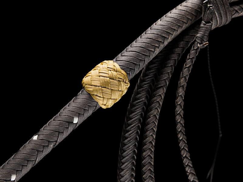 The transition of a 10 foot Belmont Bullwhip