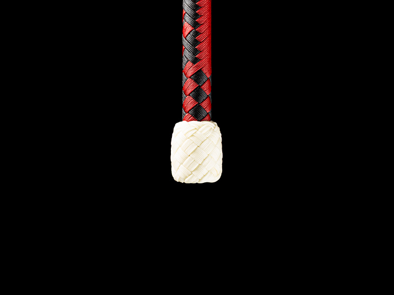 The heel of a 7 foot Harlequin Bullwhip