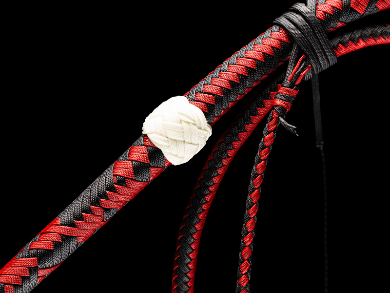 The transition of a 7 foot Harlequin Bullwhip