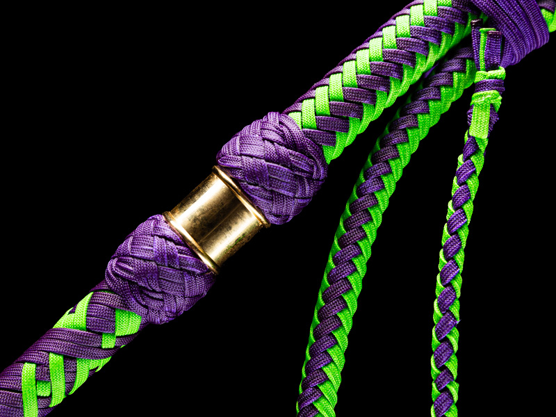 The transition of a 7 foot Joking Bullwhip