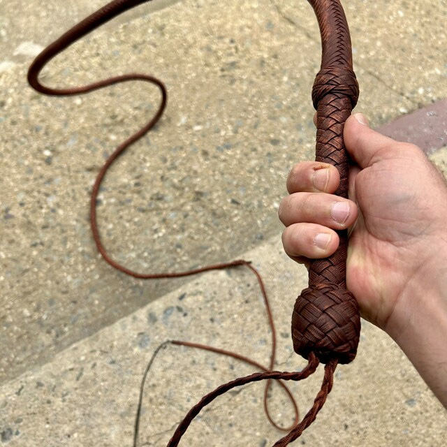 Customer photo for The Indy Bullwhip