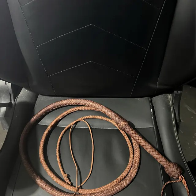 Customer photo for The Indy Bullwhip